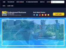 Tablet Screenshot of professionalpoolcareorlando.com